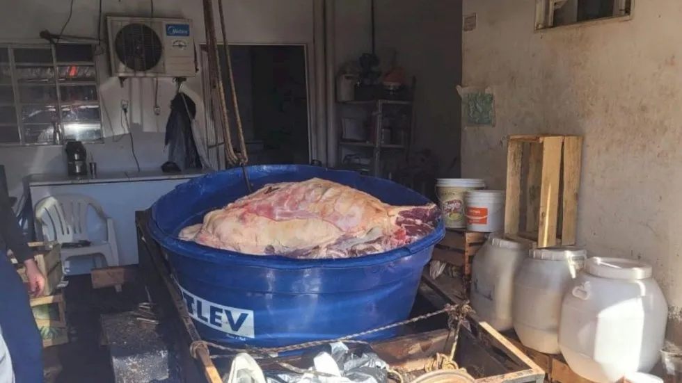 Carne com terra e insetos vendida em açougues é apreendida e dois são presos em MS