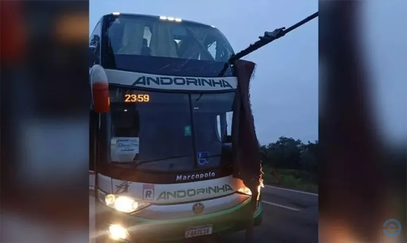 Acidente entre ônibus e caminhão deixa mortos e feridos na rodovia BR-262