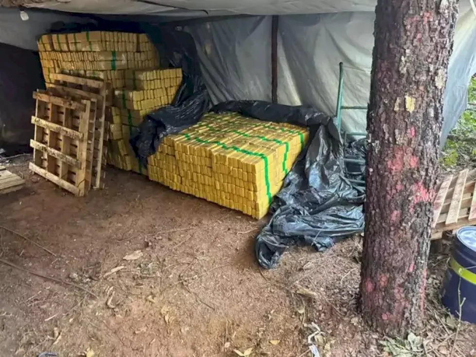 Operação fecha acampamento ilegal com 8 toneladas de maconha em Campo Grande