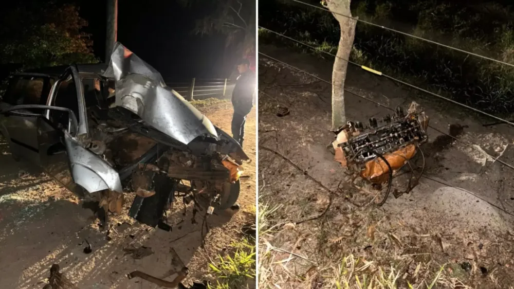 Crianças mortas em acidente após carro bater em eucalipto em MS tinham 2 e 5 anos
