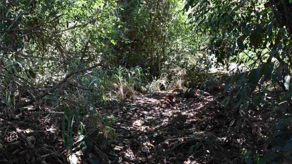 Câmeras mostram Raquel no banco da frente antes de ser jogada na vala pelo amante