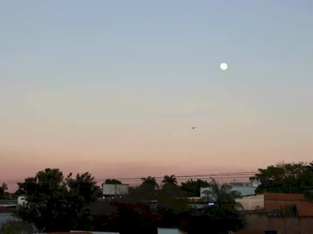 Domingo amanhece gelado e com geada em 52 cidades de MS