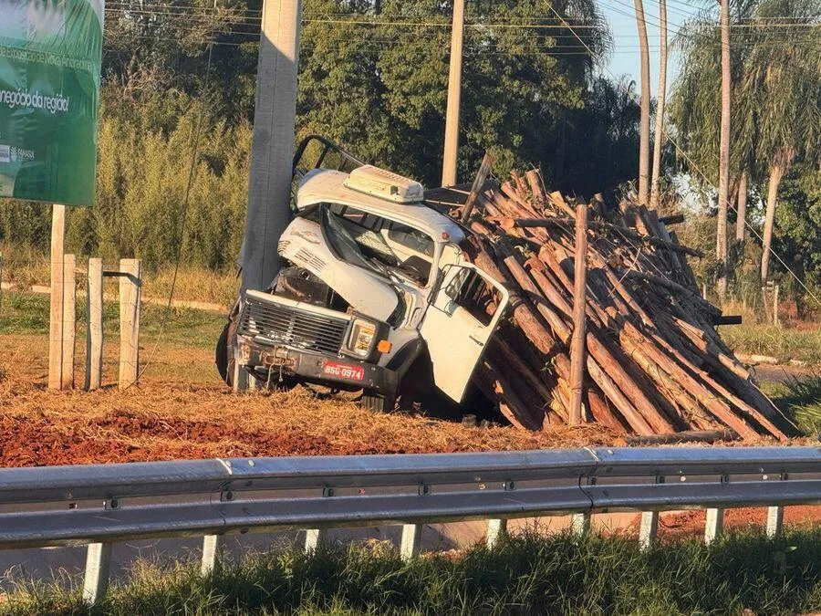 Caminhão carregado com eucalipto perde freio e bate contra poste de energia na MS-134