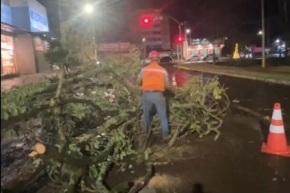 Tempestade derruba árvores e interdita vias em Dourados