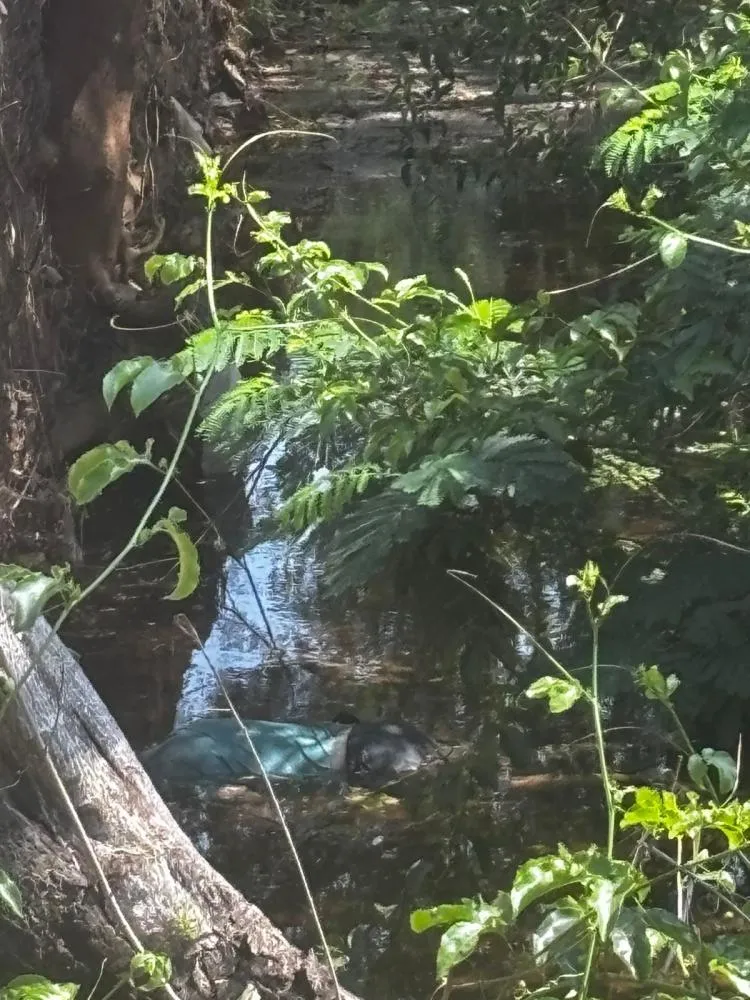 Corpo é encontrado em córrego no centro de Rio Verde