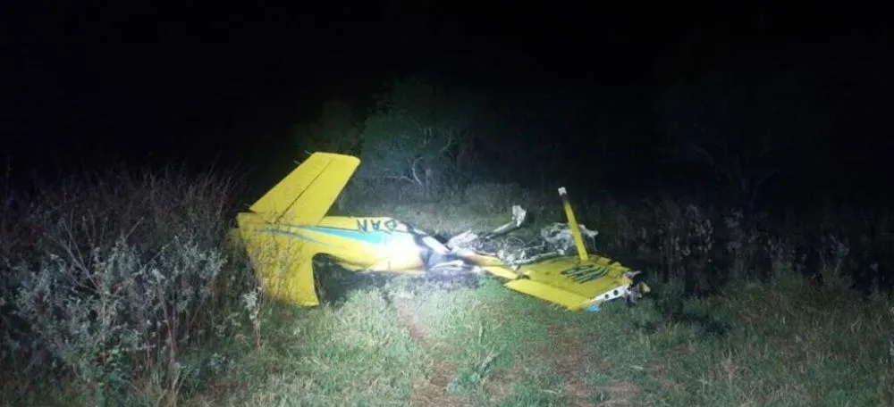 Porcos-do-mato estariam na pista quando piloto tentou pousar avião no Pantanal