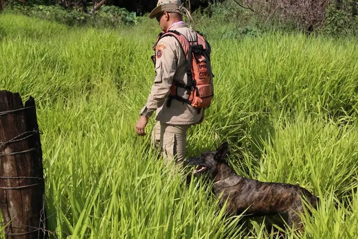 Idoso desaparecido em Campo Grande é encontrado morto próximo ao Jardim Itamaracá