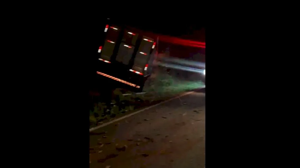 Caminhoneiro perde controle após atropelar anta, bate em árvore e é arremessado