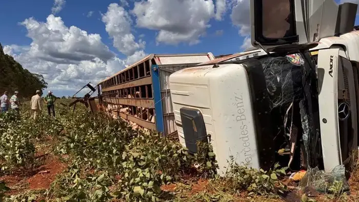Motorista fica ferido ao tombar carreta carregada com bois