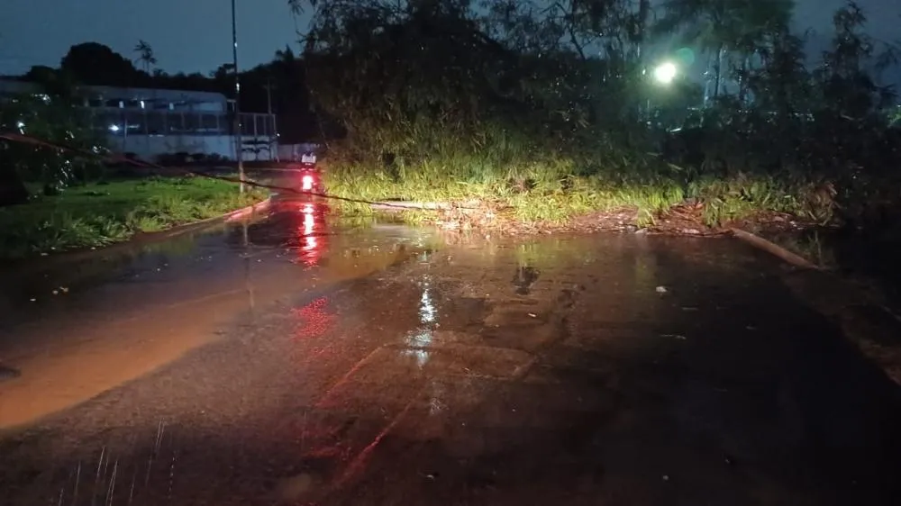 Temporal deixa rastro de destruição em Campo Grande
