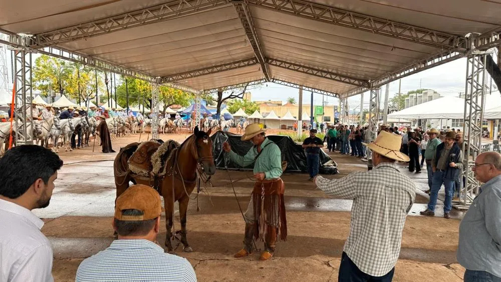 Cavalo Pantaneiro é destaque em apresentação especial no 4º Festival da Cultura Pantaneira em Rio Verde
