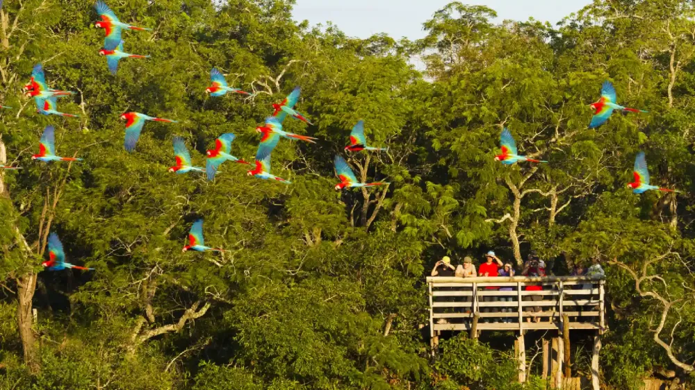Com reaquecimento do turismo pós-pandemia, MS atraiu 250 mil viagens domésticas