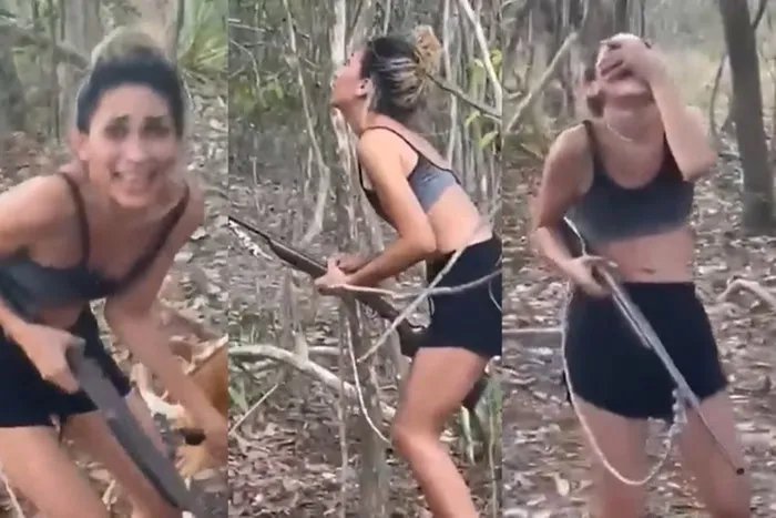 Mulher que matou onça-parda mora no Rio e foi multada em R$ 20 mil