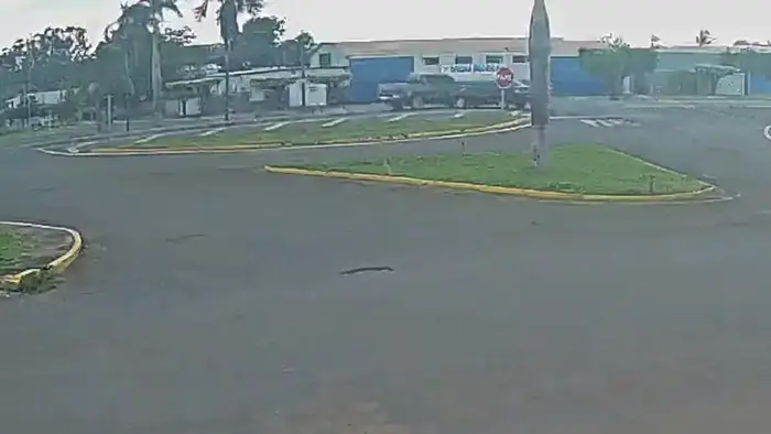 Fiesta bate em caminhonete ao tentar atravessar em trevo da BR-163 em São Gabriel do Oeste