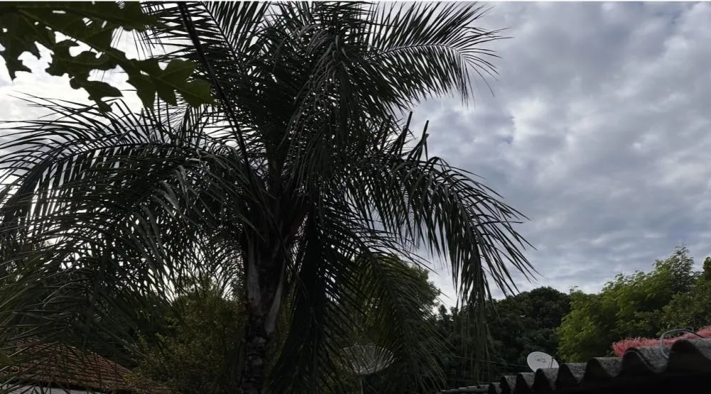 Previsão do tempo indica terça-feira com calor e pancadas de chuva em Rio Verde de MT