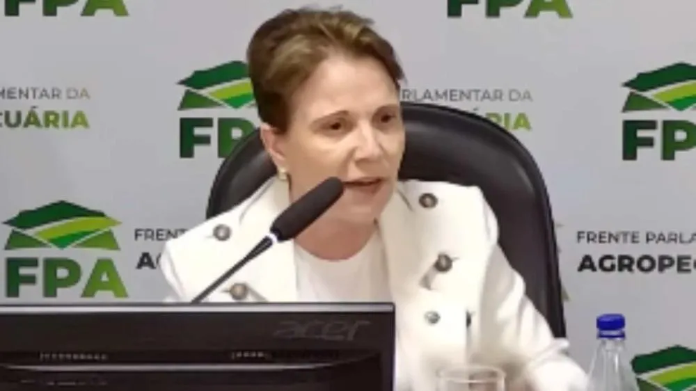 Derrubar vetos de Lula na 1ª sessão é prioridade em ‘ano curto’ no Congresso, diz Tereza