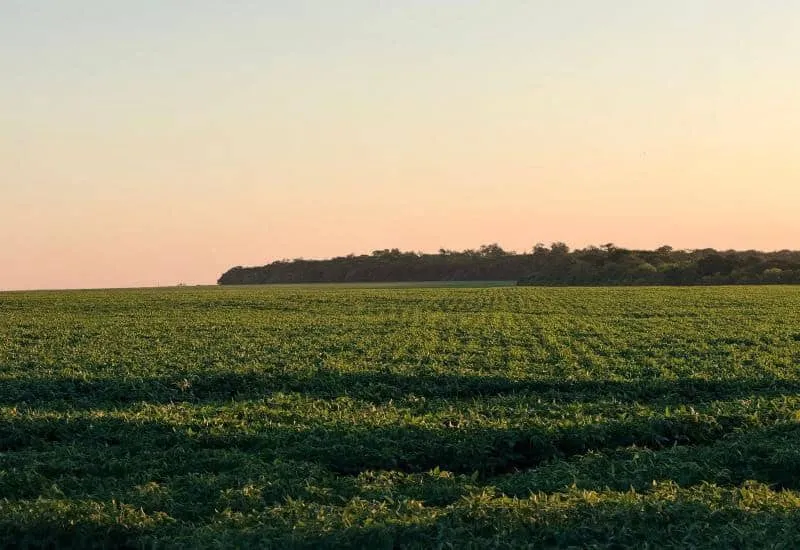 Produtor de MS apresenta modelo de agricultura regenerativa em encontro internacional na Alemanha
