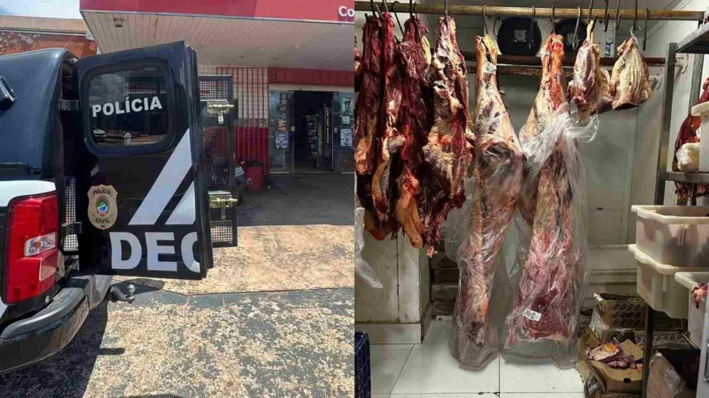Polícia fecha açougue clandestino e recolhe meia tonelada de carne estragada no Nova Lima