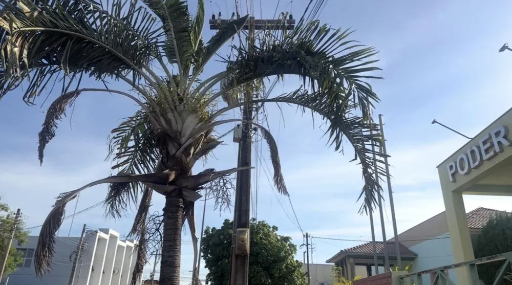 CALOR CONTINUA E CHUVA PODE VOLTAR A ATINGIR RIO VERDE DE MT NESTA TERÇA (3)