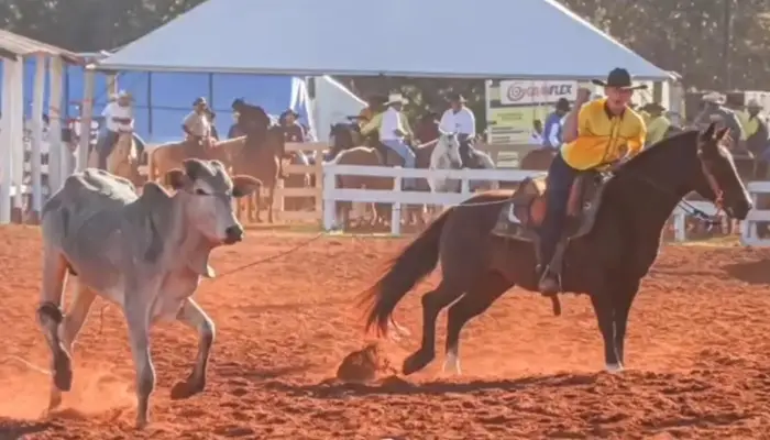 35º Encontro Estadual de Laço Comprido acontece em abril em São Gabriel do Oeste