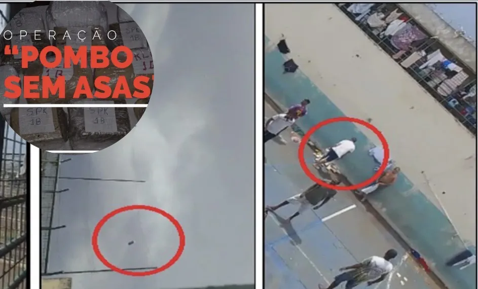 Pombo sem asas: Gaeco prende 24 em nova operação em Mato Grosso do Sul