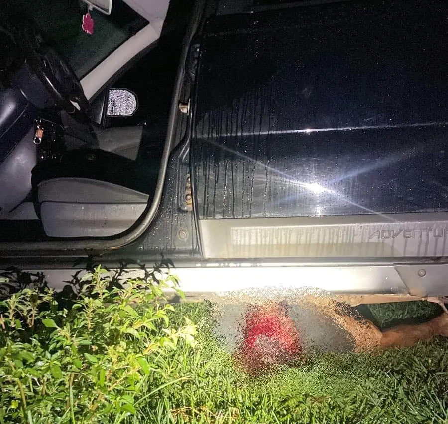Suspeito de homicídio em fazenda de São Gabriel do Oeste alega legítima defesa em depoimento