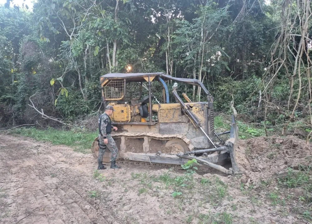 PMA flagra desmatamento irregular e aplica multa durante Operação Semana Santa em Rio Negro