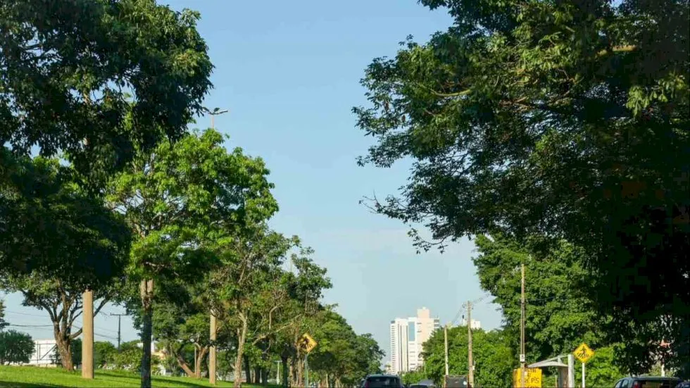 Domingo terá calor de 38°C e chance de chuva em Mato Grosso do Sul