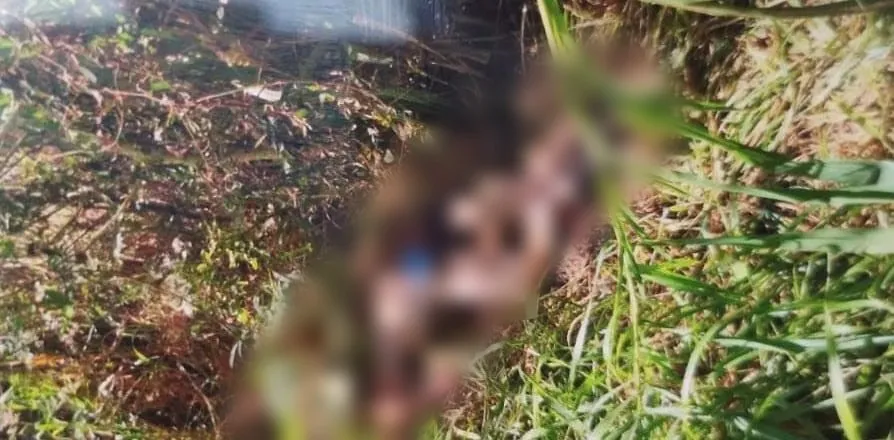 Pai reconhece corpo de mulher encontrada morta às margens de rio em Ponta Porã 