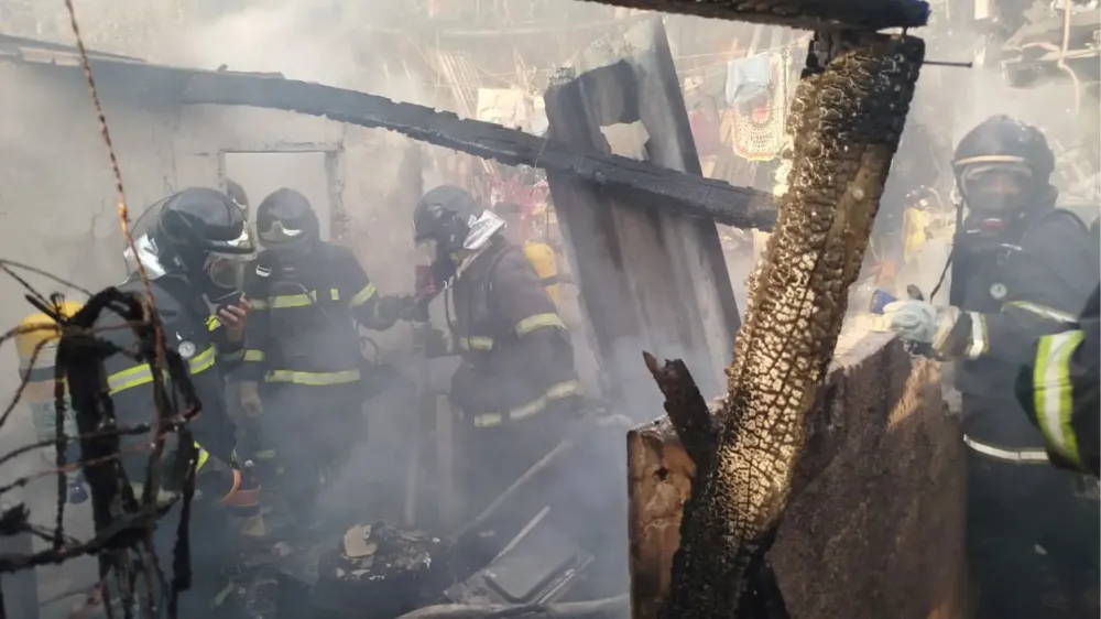 Cachorros são resgatados de casa em chamas por bombeiros em Corumbá