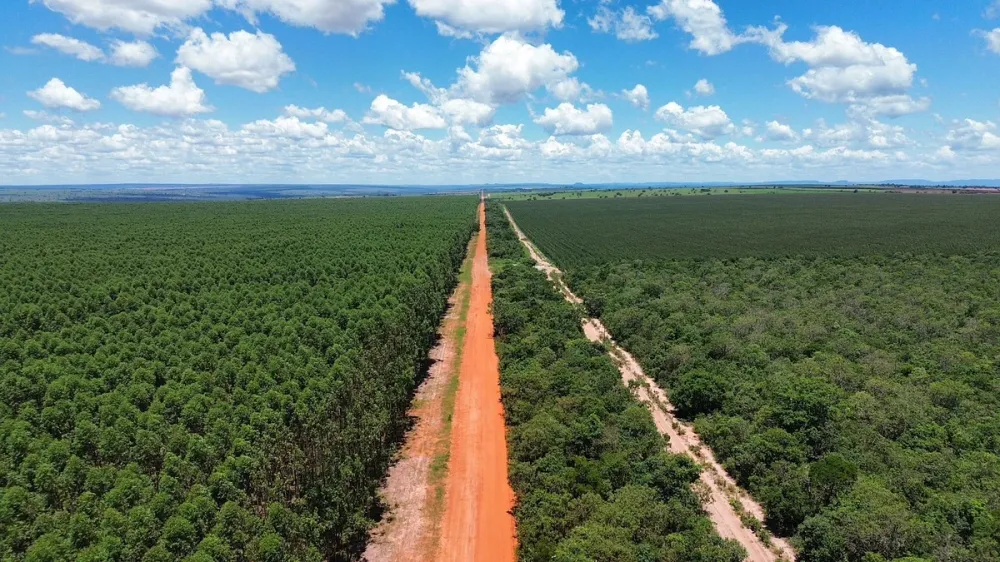 MS-213: Sonora conquista autorização para pavimentação de 20 quilômetros da rodovia