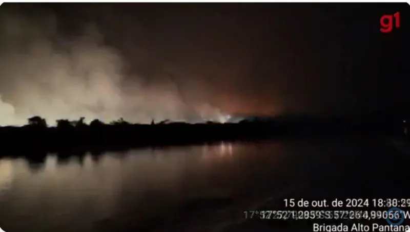 ‘Impossível o ser humano combater’, diz chefe da brigada de incêndio em área isolada do Pantanal