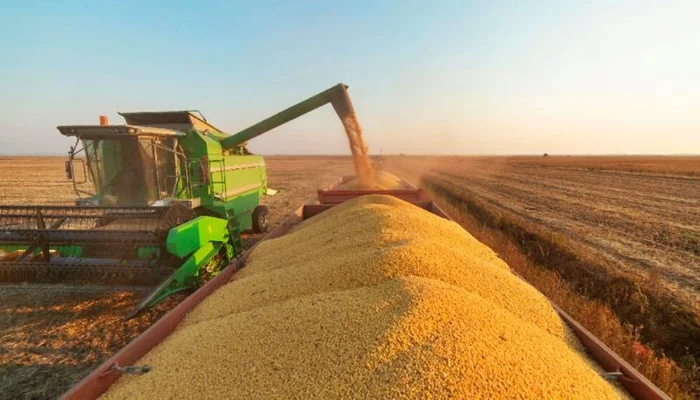 São Gabriel do Oeste está entre os 100 municípios mais ricos do agronegócio no Brasil