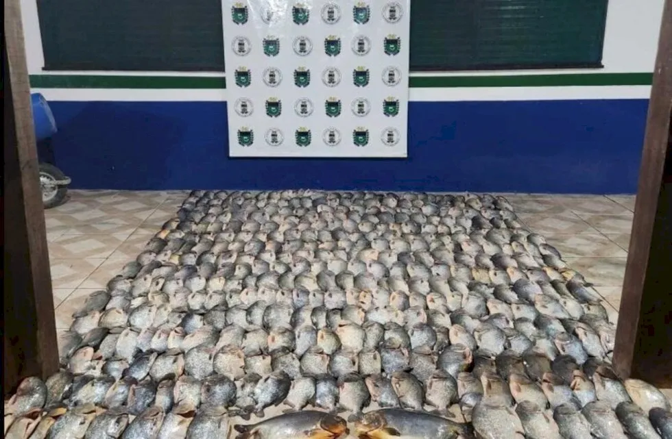 Polícia apreende 200 quilos de pescado ilegal no Rio Paraguai