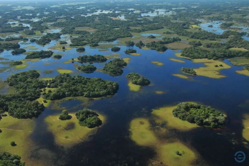 Pantanal sul-mato-grossense pode se tornar patrimônio nacional nesta terça-feira