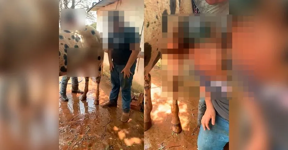 Em tom de 'brincadeira', empresários filmam abuso de adolescente e cavalo em MS