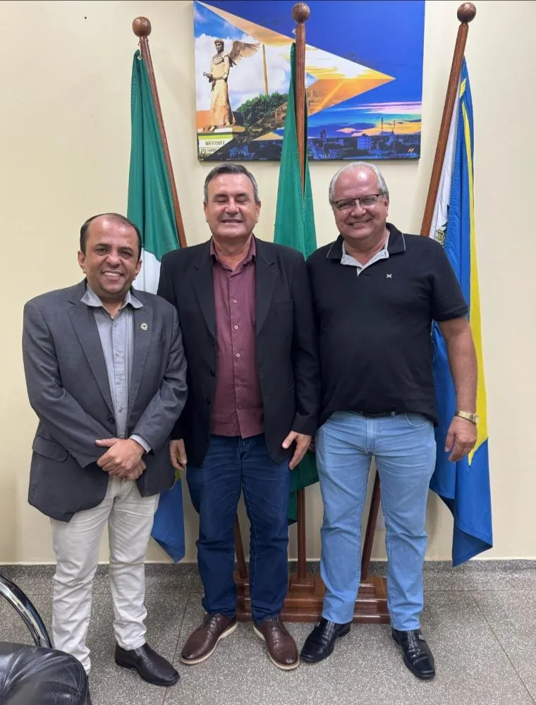 Vereadores José Armando e Robinho Representam Rio Verde em Audiência Pública sobre a BR-163