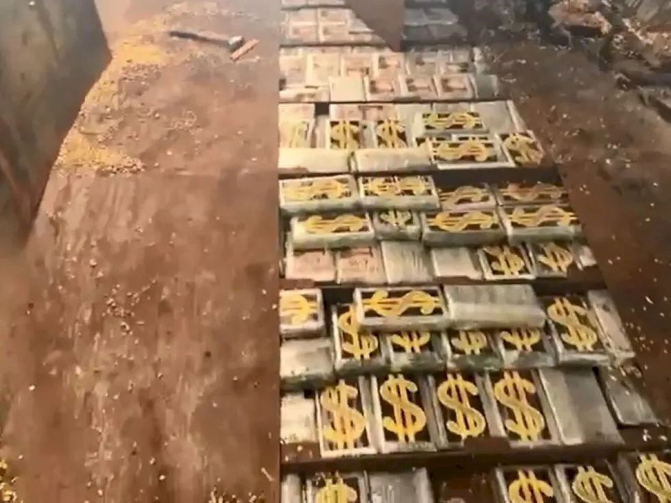 Carga de cocaína apreendida no Paraná com morador de MS é avaliada em R$ 35 milhões