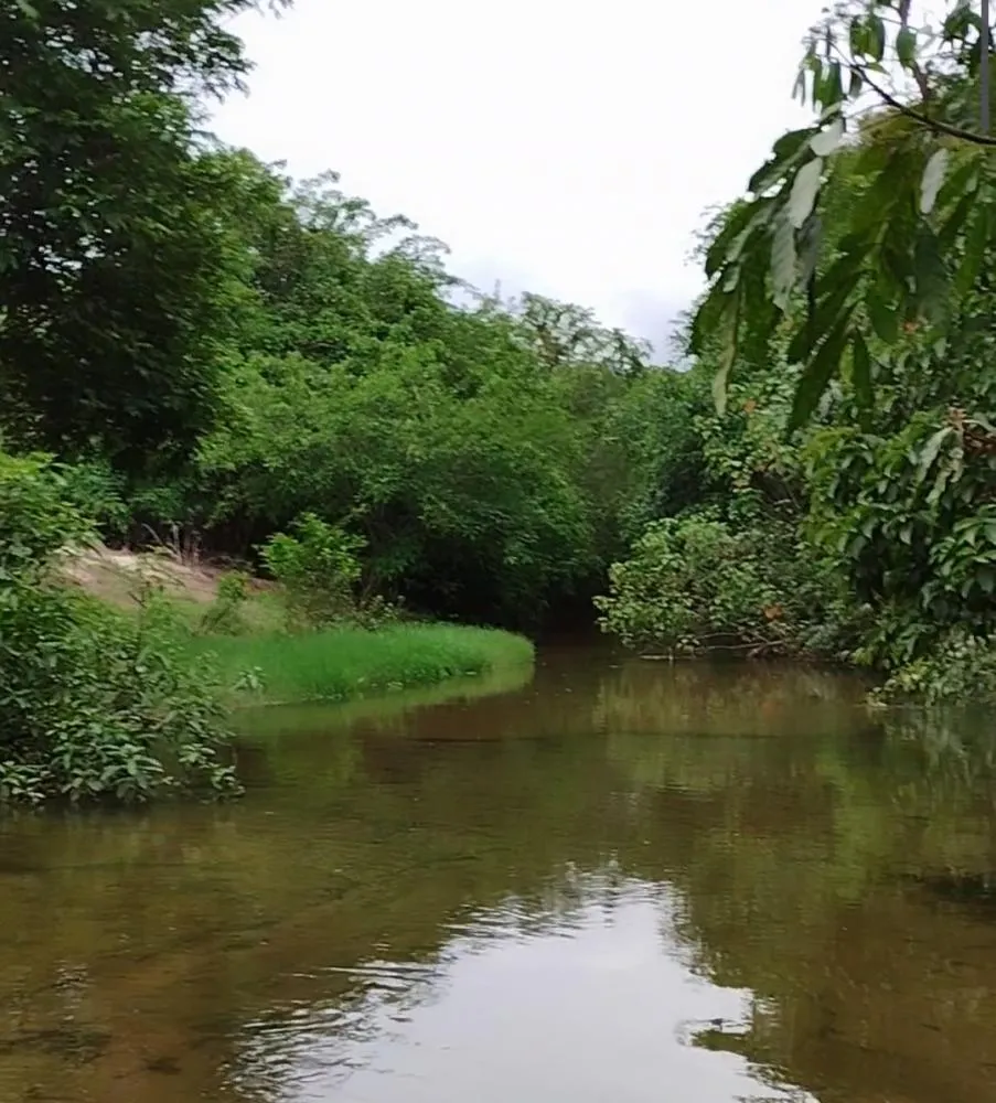Frente fria avança e traz possibilidade de temporais para Mato Grosso do Sul nesta semana